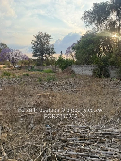 Prime Residential Stand For Sale – Mabelreign