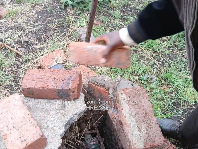 Westlea stand for sale 