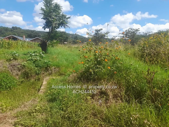 Along  Chishawasha Road