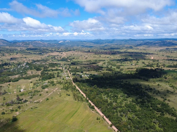 Farm & Agricultural Land