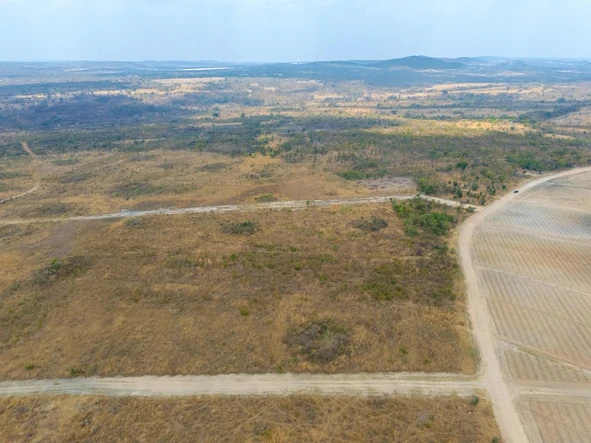 Farm & Agricultural Land