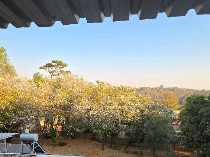 Fully Renovated 2-Bedroom Garden Flat to Rent in Greystone Park – Tranquil Living Among  Trees