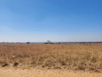 Farm & Agricultural Land