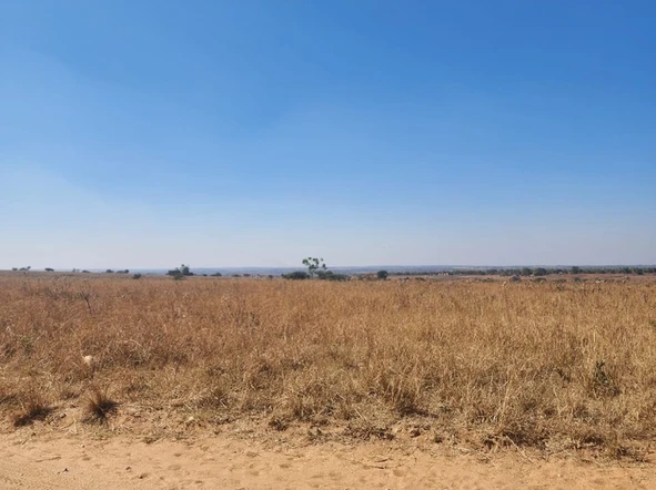 Farm & Agricultural Land