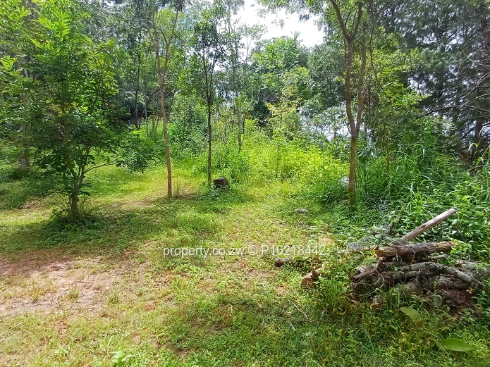 5400m^2 vancant piece of land (Sole Mandate)