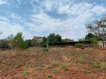 Land