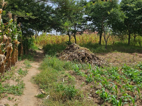 Stands & Residential Land