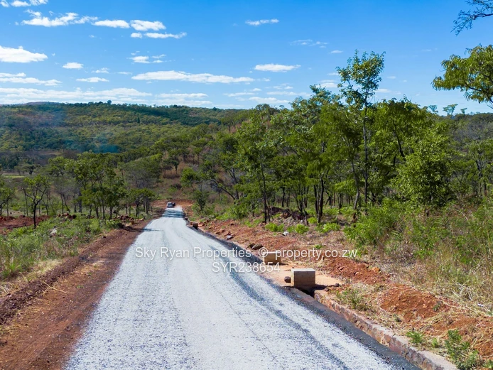 Glen Forest Plots For Sale