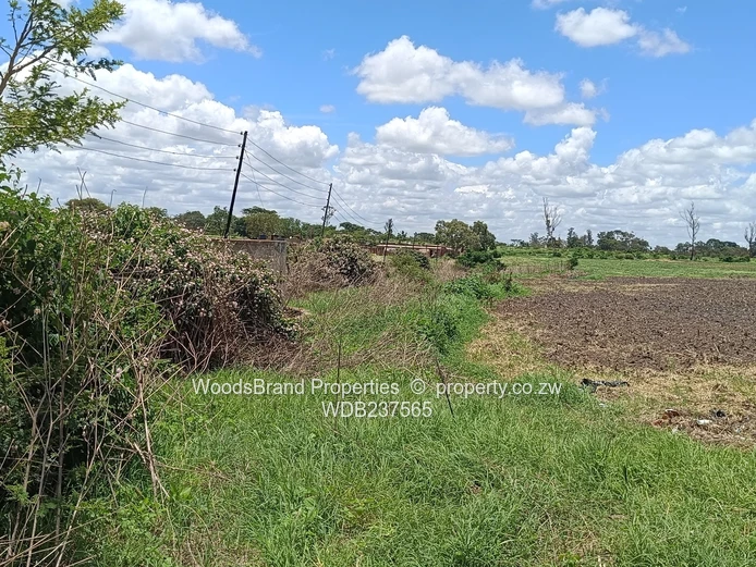 Mt Hampden land For Sale