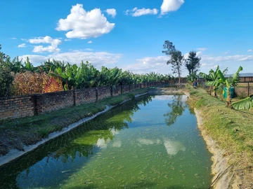 Farm & Agricultural Land