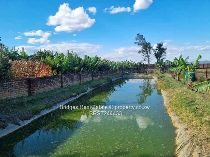 Fully Operational Peri Urban Agro Residential Plot (Sole Mandate)