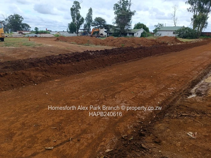 Borrowdale Tall Trees Estate Stands on Sale