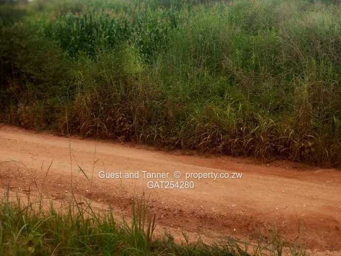 Charlotte Brooke | Residential Stand For Sale – Us$20,000