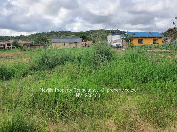 Crowhill Palm Villers 