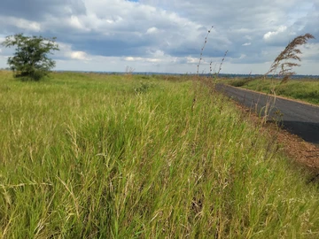 nyeredzi ridge residential stand for sale