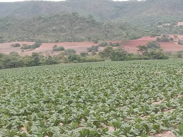 Farm & Agricultural Land