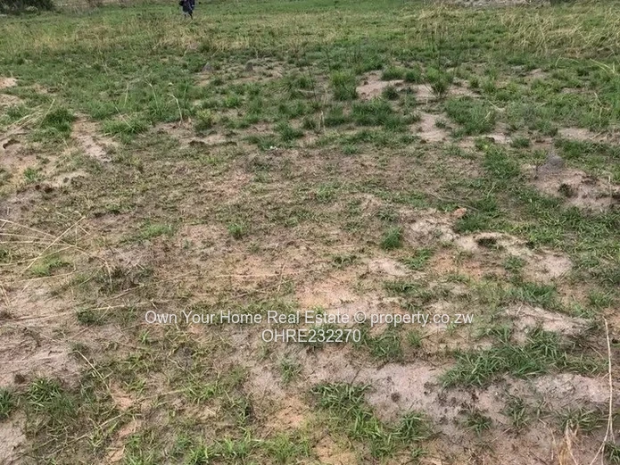 Huntersville Stand For Sale