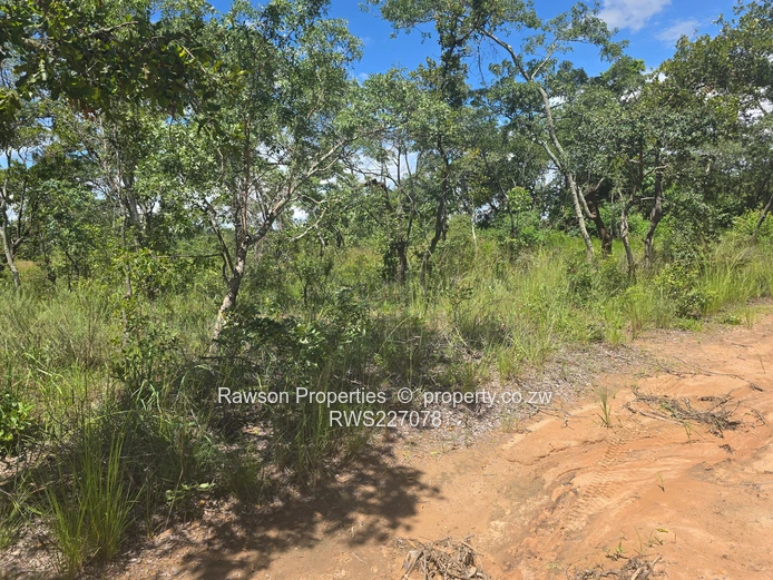 1121ha Karoi Lakeside Farm — Dam, Woodland & Tracks
