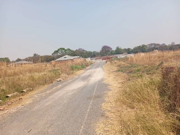 Stands & Residential Land