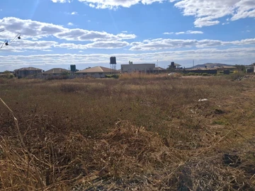 Stands & Residential Land