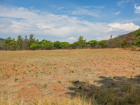 Farm & Agricultural Land