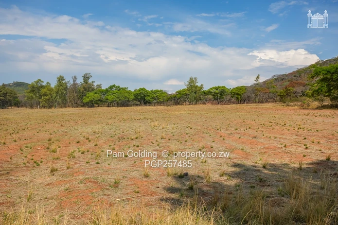 Bromley Farm - 41 Hectare Estate For Sale