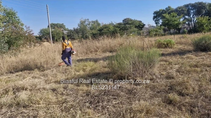 2000m² Arlington Stand 