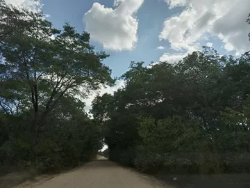 Farm & Agricultural Land