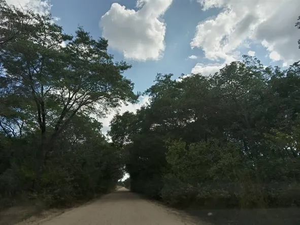 Farm & Agricultural Land