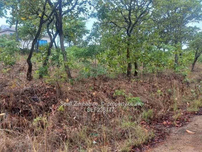 Prime Property for Sale in Borrowdale - Carrick Creagh Estate