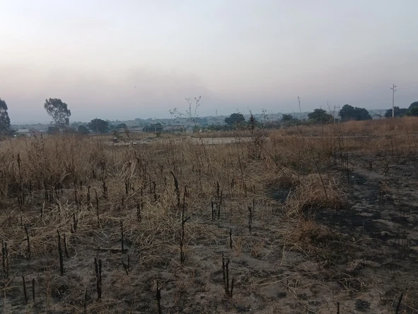 Commercial & Industrial Land