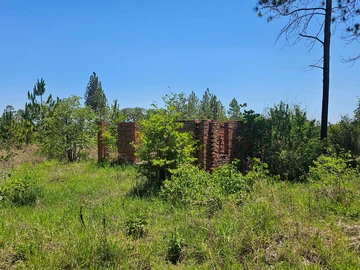 Farm & Agricultural Land