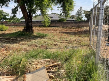 Stands & Residential Land