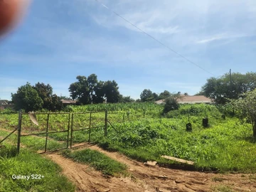 Stands & Residential Land