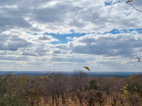 Commercial & Industrial Land