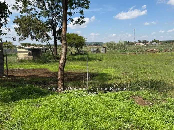 Bluffhill Stand For Sale 