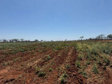 Land