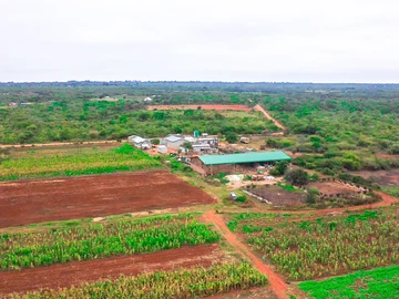 Farm & Agricultural Land