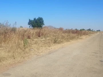 Stands for sale