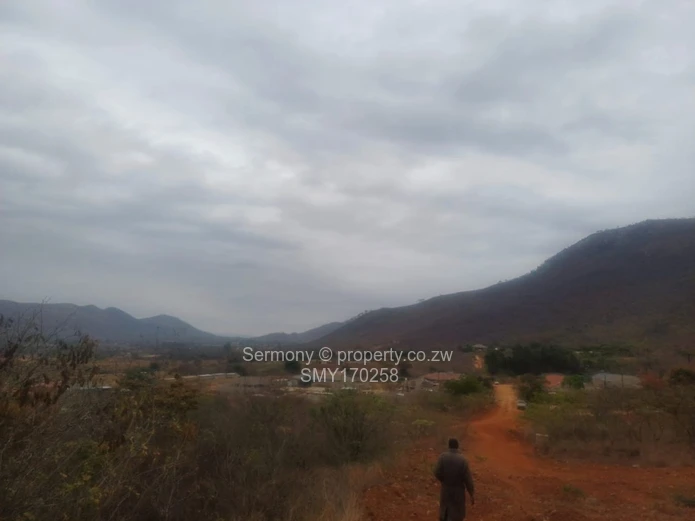 Residential Stands For Sale