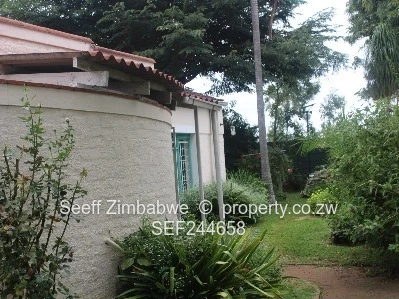 Dandaro Flat For Rent