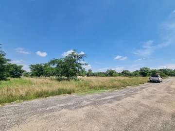 Stands & Residential Land