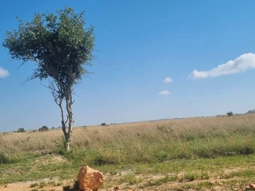 Farm & Agricultural Land