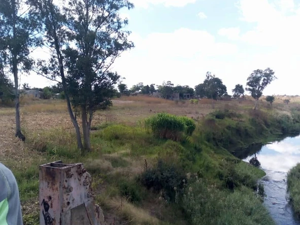 Farm & Agricultural Land