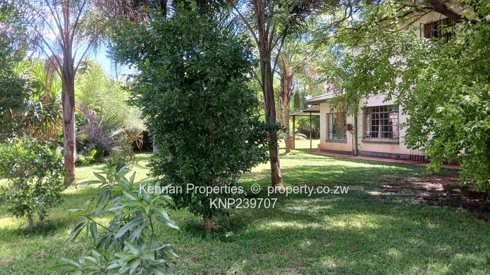 Awaiting your Vision and Creative updates.