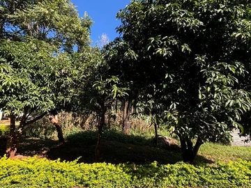 Shawasha Hills Land for sale