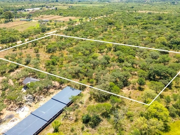 Farm & Agricultural Land