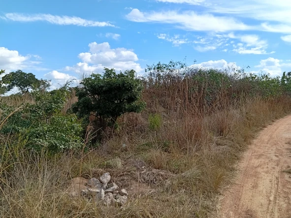Farm & Agricultural Land