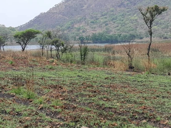 Farm & Agricultural Land