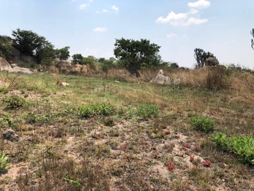 Farm & Agricultural Land